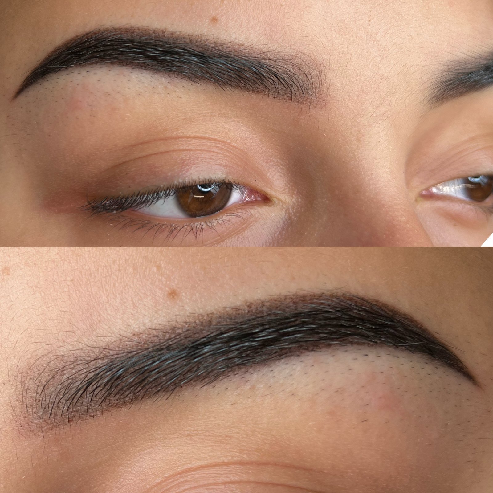 Close up of healed ombre powder brow pixels in Houston studio